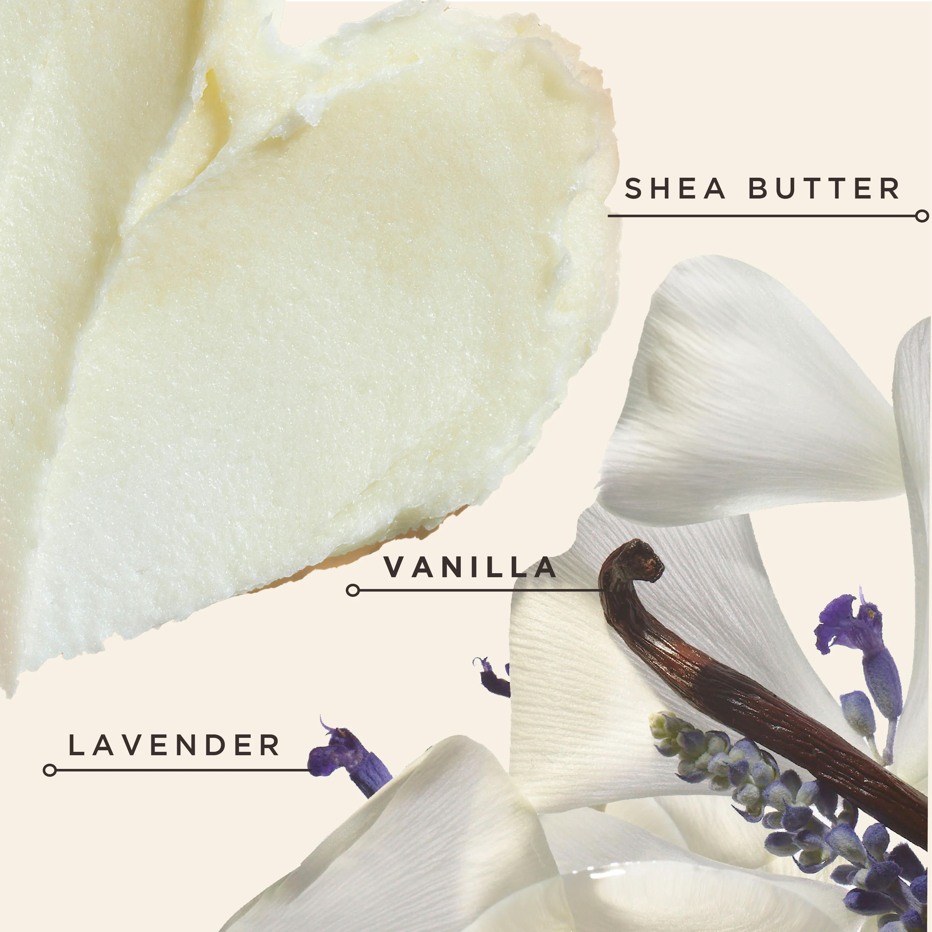 Black Vanilla Moisture & Shine Hydrating Conditioner - Image 6