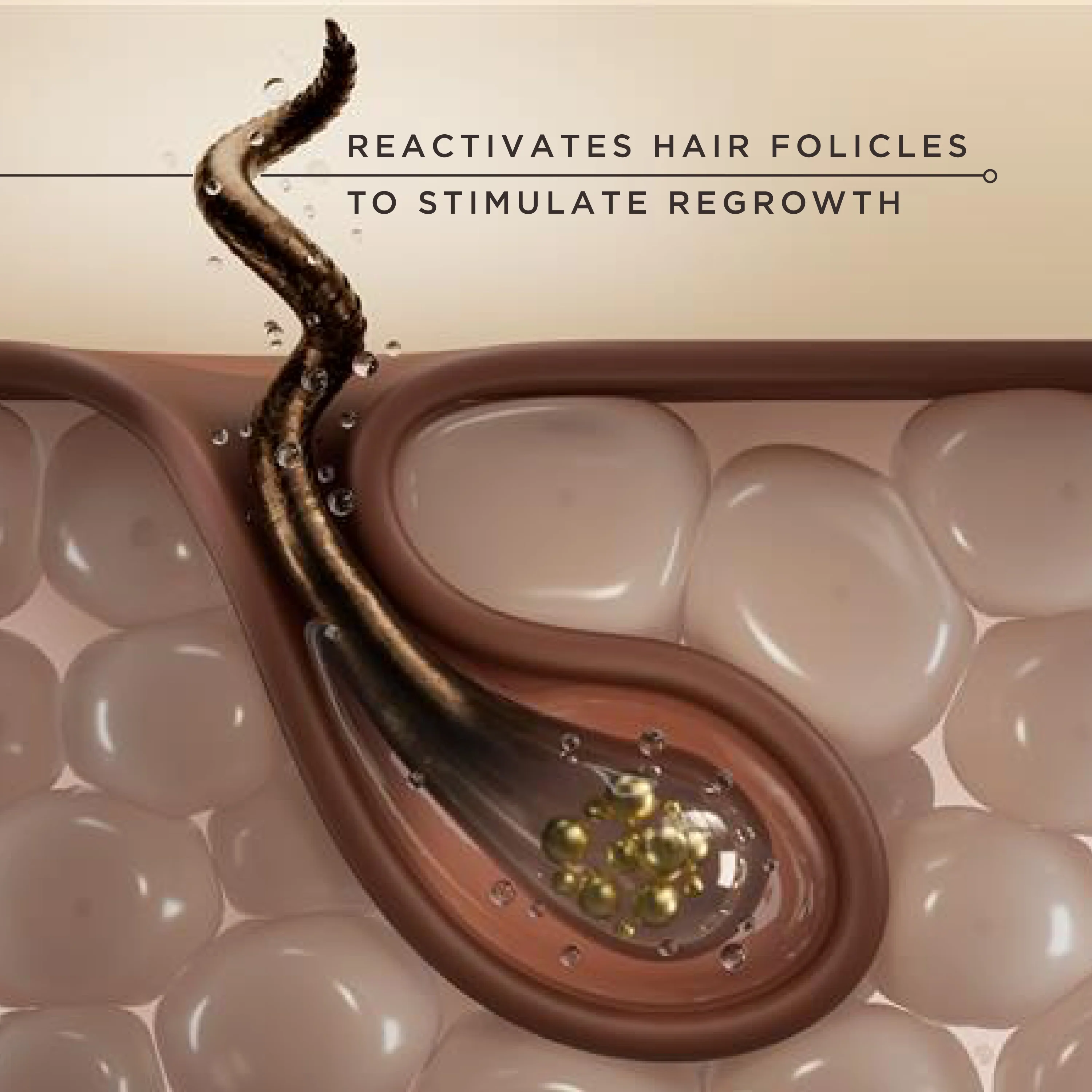 Goddess Strength Hair Regrowth Treatment with 2% Minoxidil - Image 6